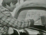 Mladen Crnobrnja - Plik u kultnoj TV-seriji "Kuda idu divlje svinje" iz 1971. godine