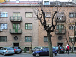 Kuće dvojčice u Žajinoj ulici [GP 2014.]