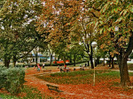 Park na Trešnjevačkom trgu prije nego što je u studenom 2014. preuređen i preimenovan u Park Zvonimira Milčeca [GP 2013.]