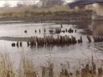 Ostaci starog mosta na Savi, snimljeno 19.02.1989. [ŽB 1989.]