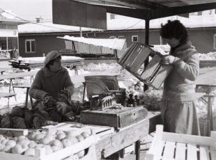Zimski dan na tržnici Prečko. [RG, iz perioda 1981. - 1985.]