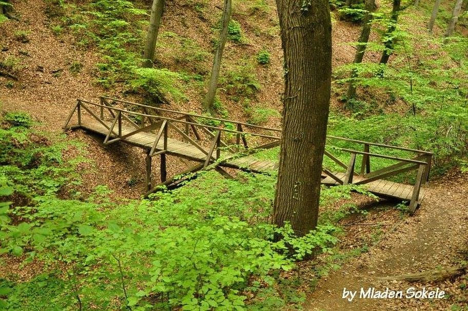 Most preko potoka Kraljevca u Kraljevečkoj šumi kojim prelazi planinarska staza od Dubravkina puta prema Šestinama. [MS 2012.]