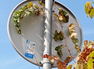 Loza koja slijedi prometni znak - Drniška ulica. [SM 2026.]