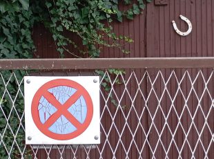 Sretno - čak i uz zabranjeno parkiranje! [SM 2026.]